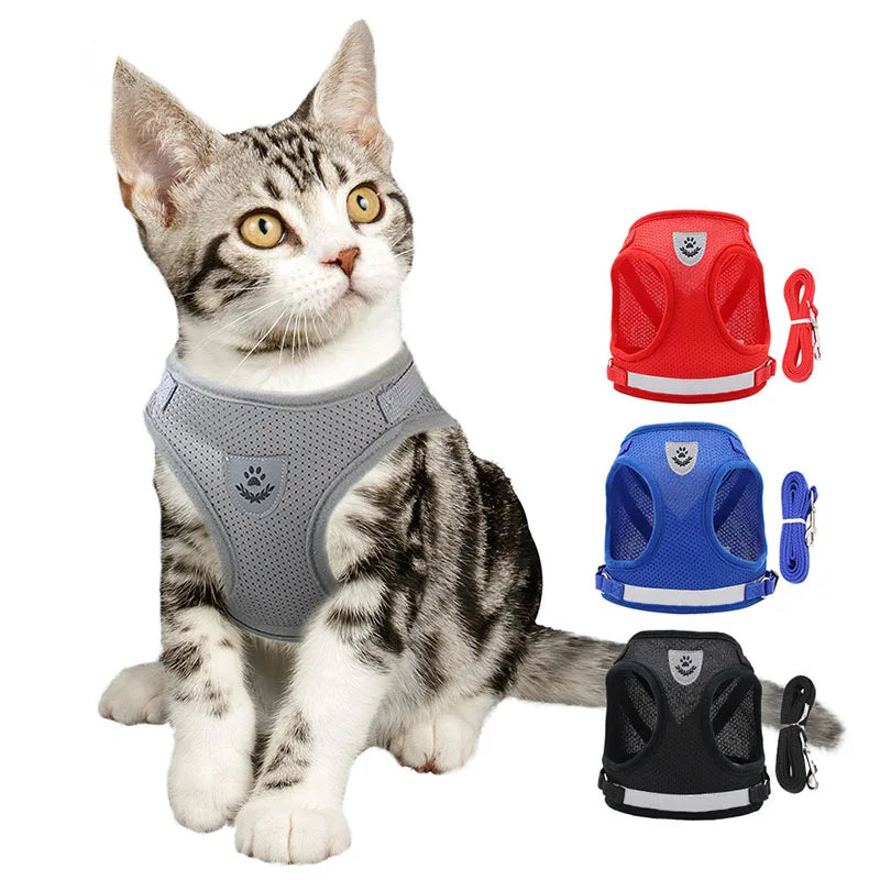 Reflective escape-proof harness for a cat or small dog
