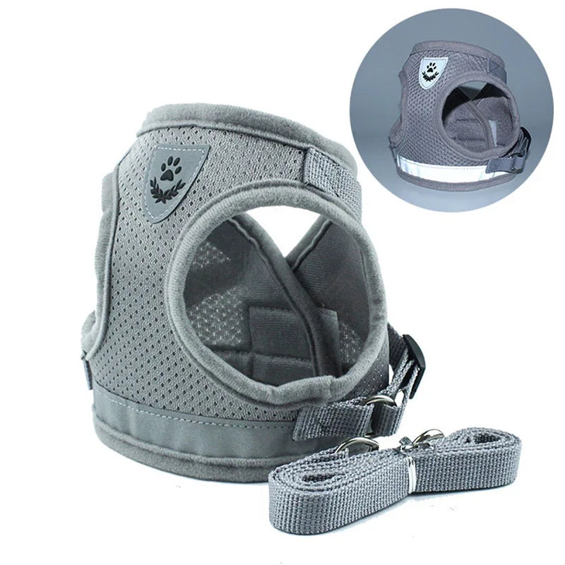 adjustable-small-dog-cat-harness-outdoor