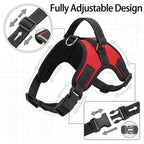 no-pull-dog-harness-reflective-mesh