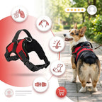 no-pull-dog-harness-reflective-mesh