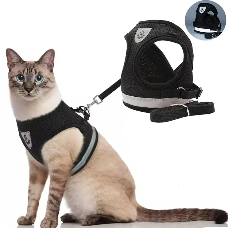 adjustable-small-dog-cat-harness-outdoor