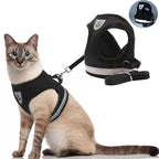 adjustable-small-dog-cat-harness-outdoor