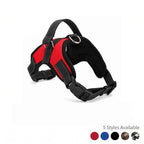 no-pull-dog-harness-reflective-mesh
